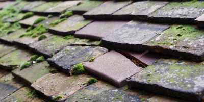 Isfield roof repair costs